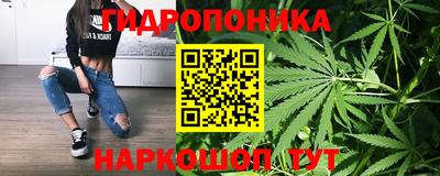 ГАЛЛЮЦИНОГЕННЫЕ ГРИБЫ Будённовск