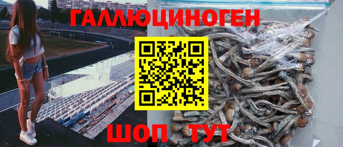 Псилоцибиновые грибы мицелий  Галлюциногенные грибы Magic Shrooms  Корсаков  Вход с VPN 